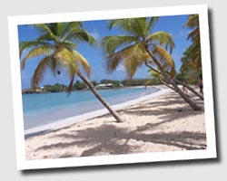 cp Martinique