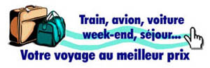 Agence de voyage en ligne